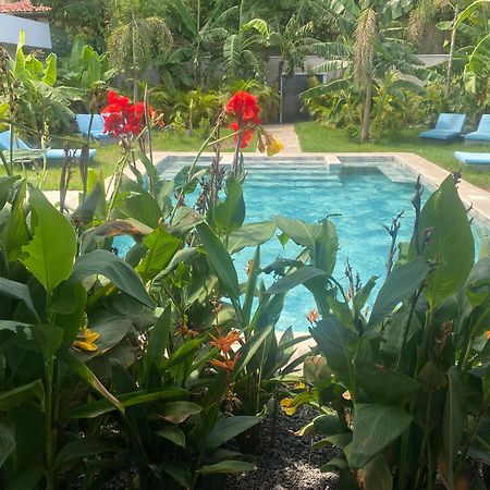 Hotel Good Life Coco Eksteriør bilde