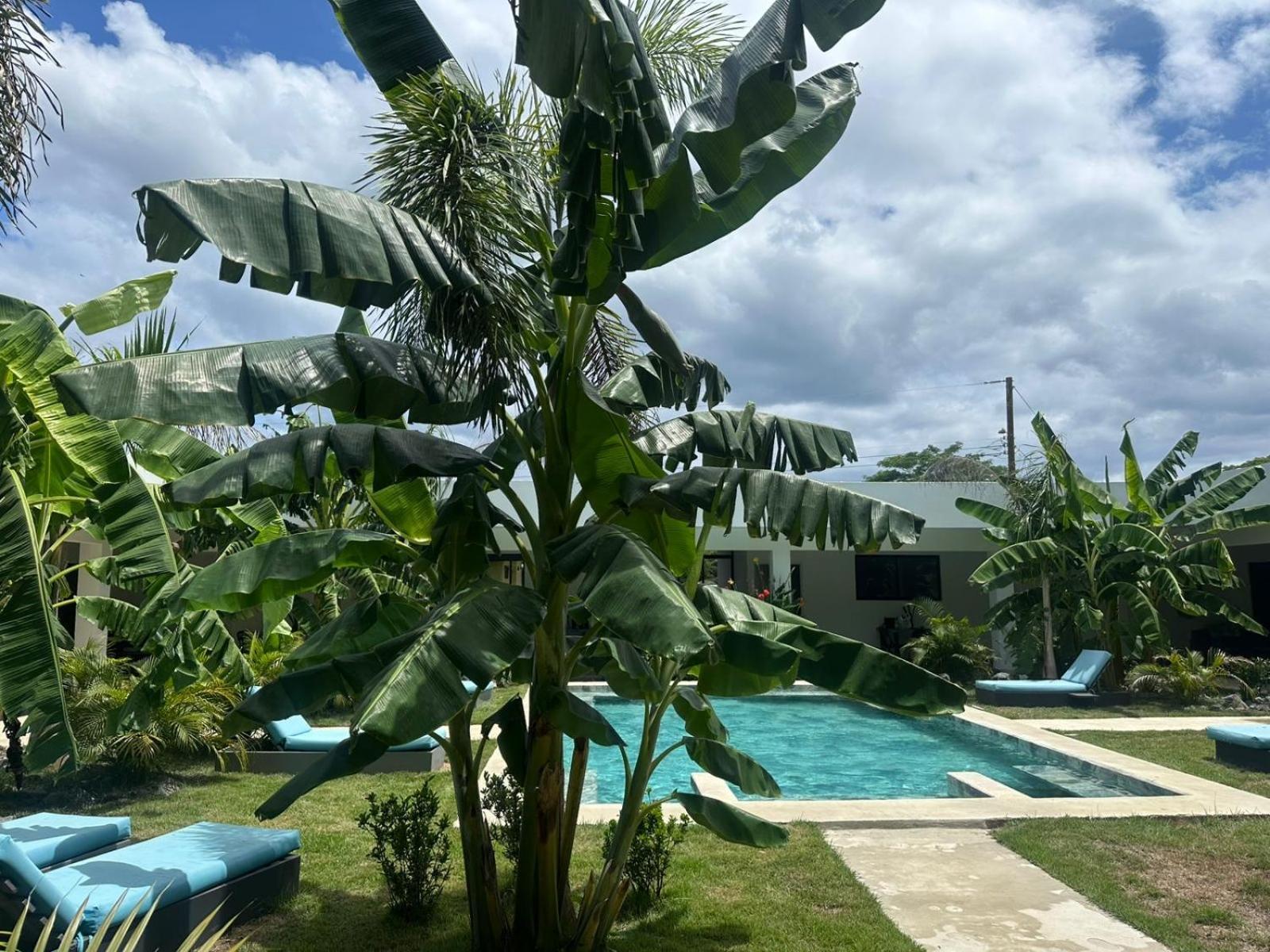 Hotel Good Life Coco Eksteriør bilde